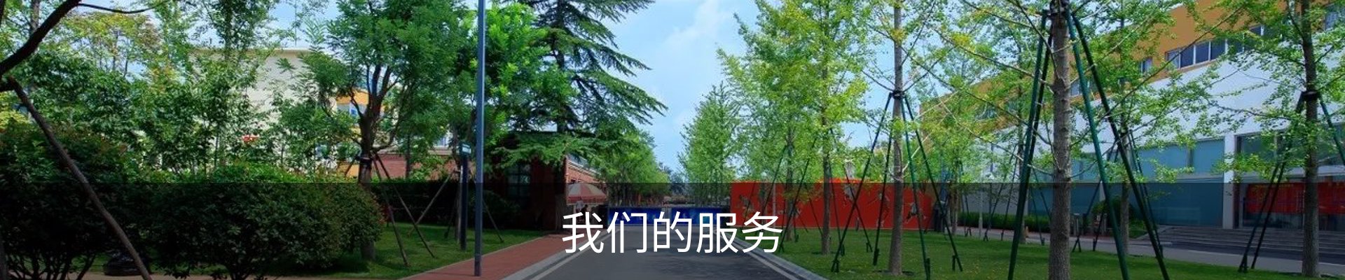 我们的服务